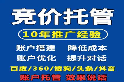 搜索引擎营销（SEM）的投放策略与效果评估——以某行业领先企业的案例分析